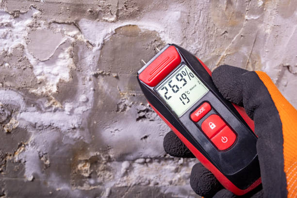 Best Mold Testing  in St Martins, MO