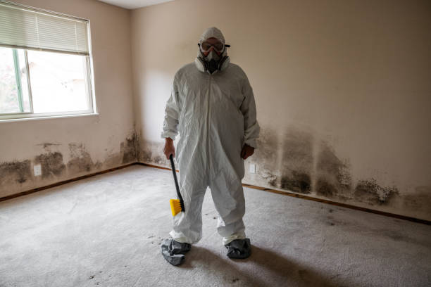 Best Commercial Mold Removal  in St Martins, MO
